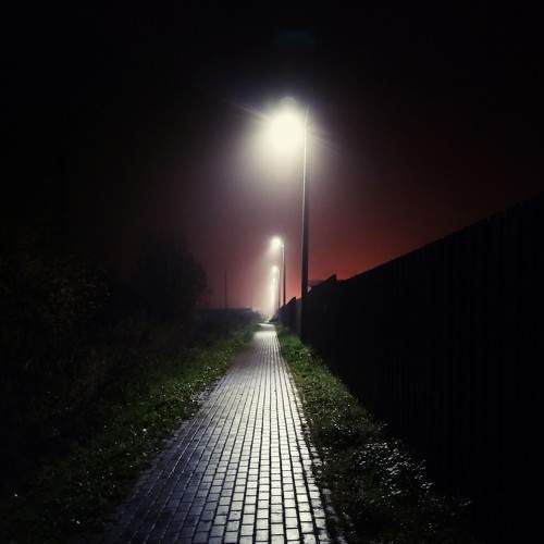 Photo #5591847