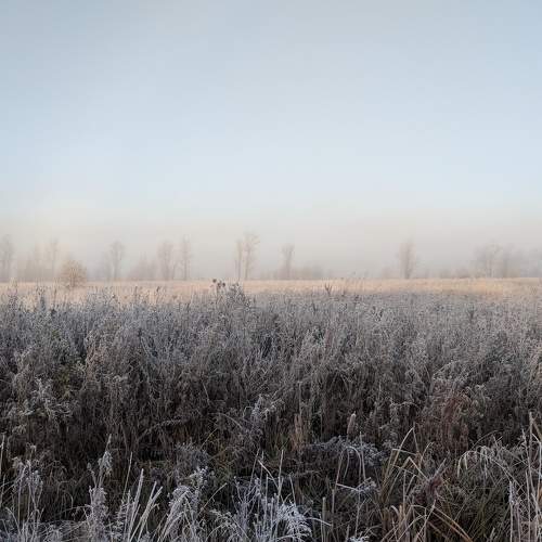 Photo #5591848