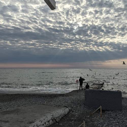 Photo #5591895