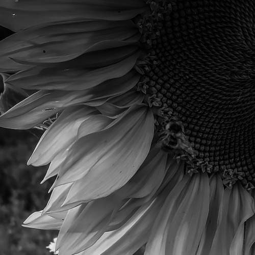 Photo #5592091