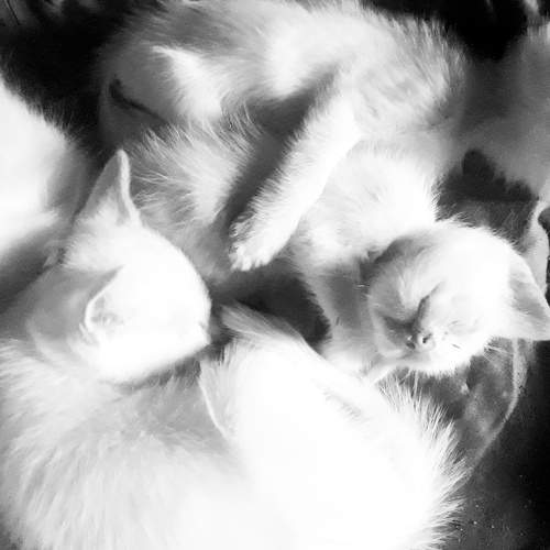Photo #5592470
