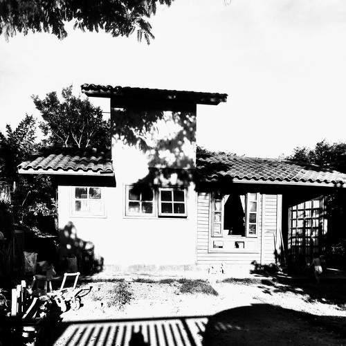 Photo #5592619