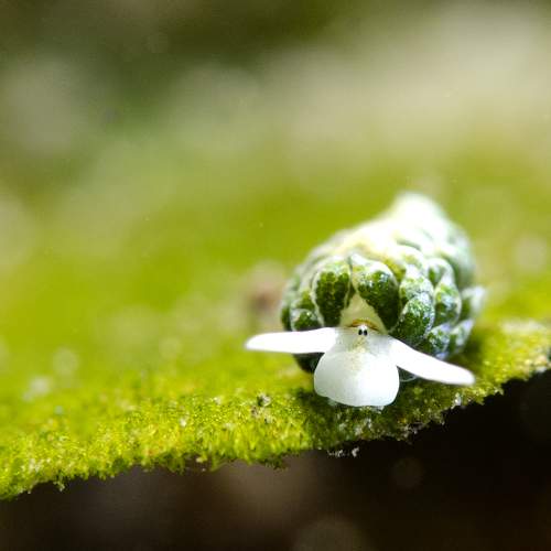 Photo #5592706
