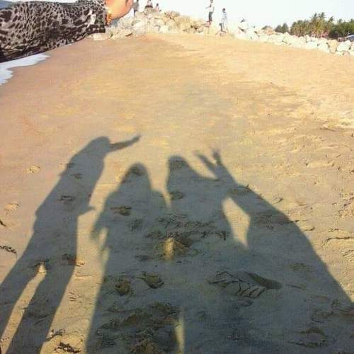 Photo #5592855