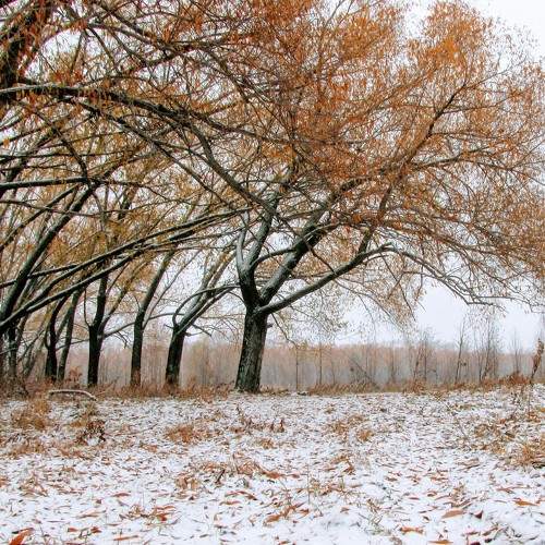 Winter is coming