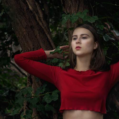 Photo #5593104