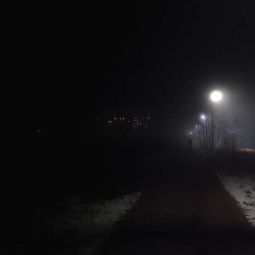 Photo #5593350
