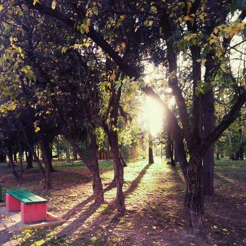 Photo #5594380