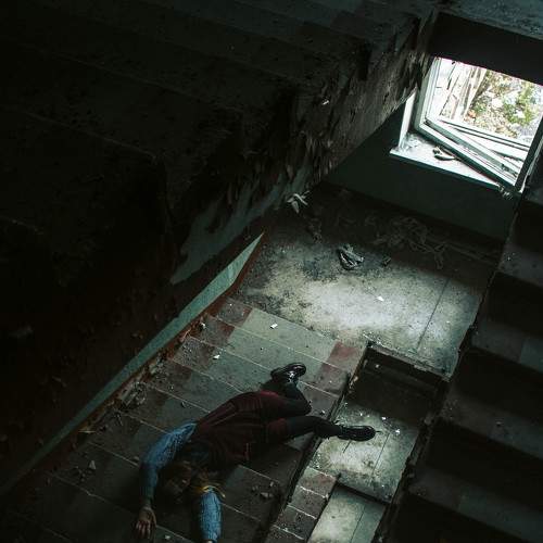 Photo #5594689