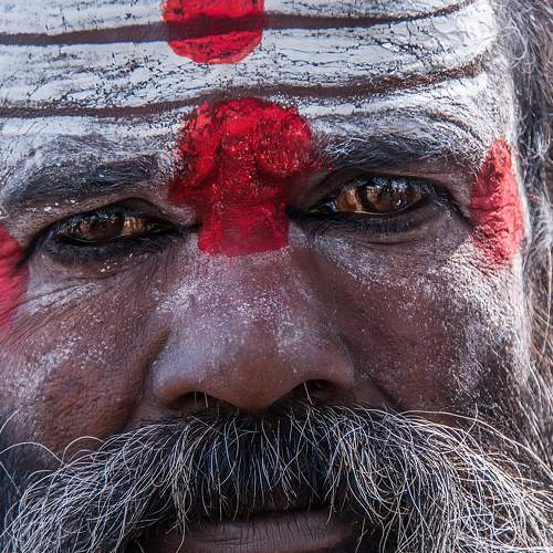 Photo #5594945
