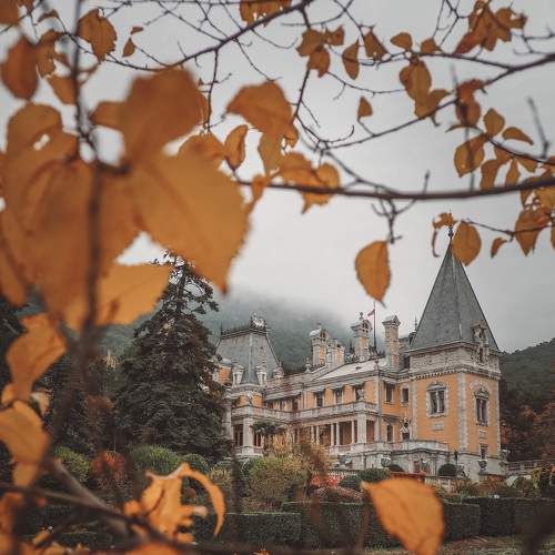 Photo #5595105