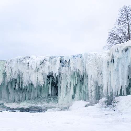Photo #5595154