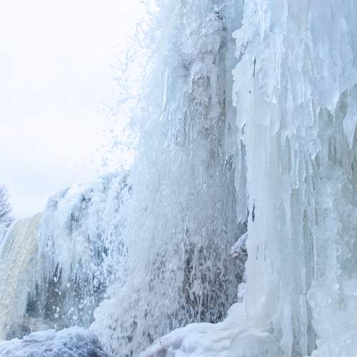 Photo #5595155