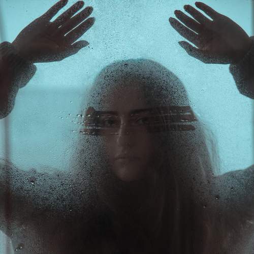 Photo #5595217