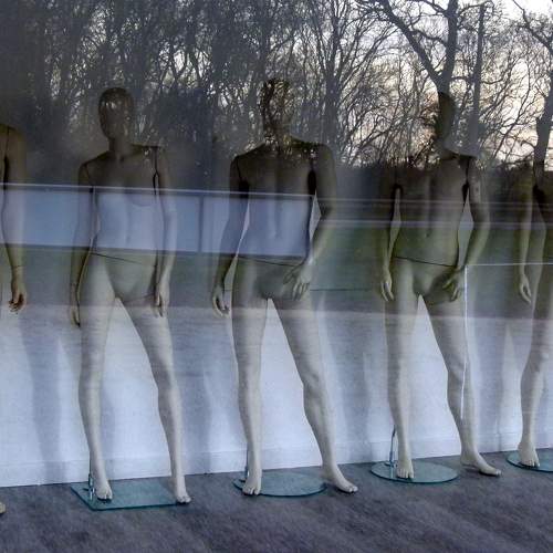 Photo #5595582