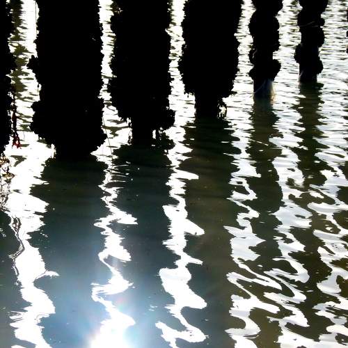 Photo #5595583