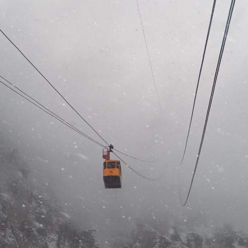 Photo #5595593