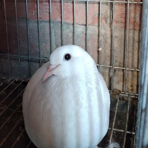 Photo #5595660