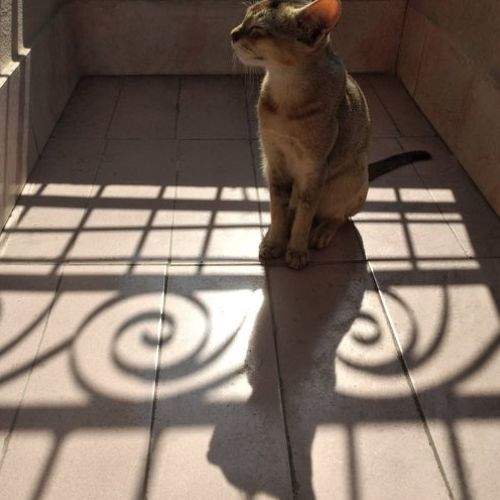 Photo #5595778