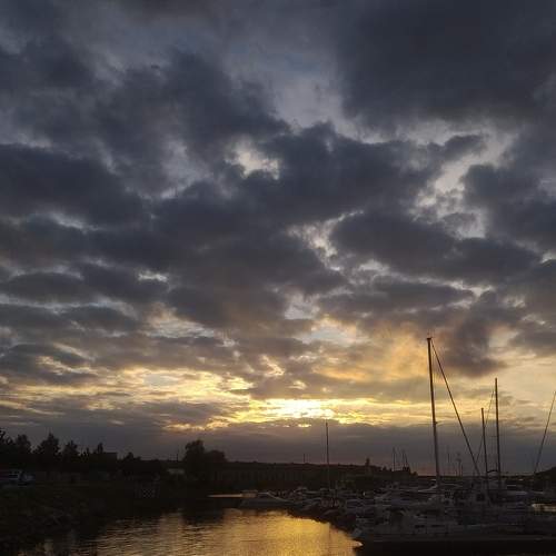 Photo #5595992