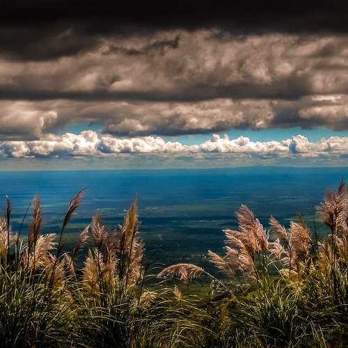 Photo #5596020