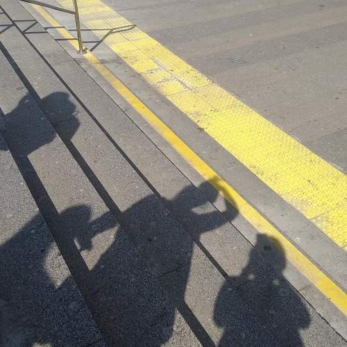 Photo #5596139