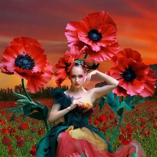 Photo #5596279