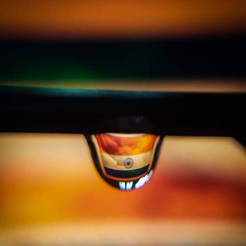 Photo #5596943
