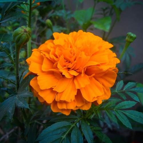 Photo #5597046