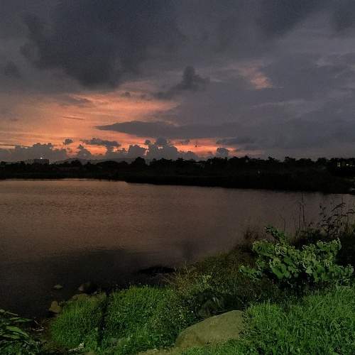 Photo #5597082