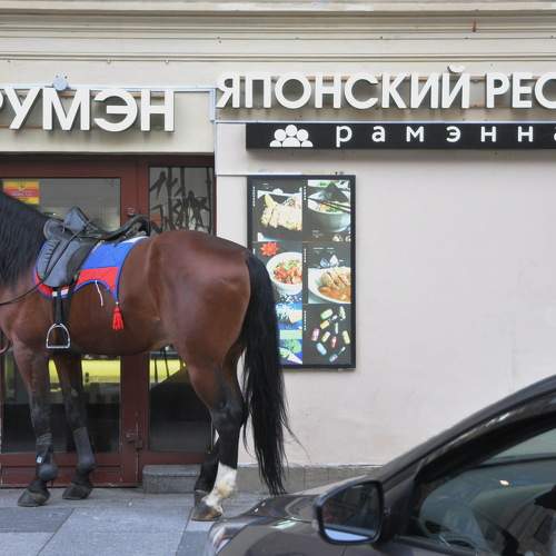 Photo #5597188
