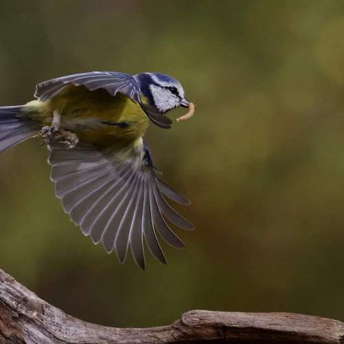 Photo #5597597