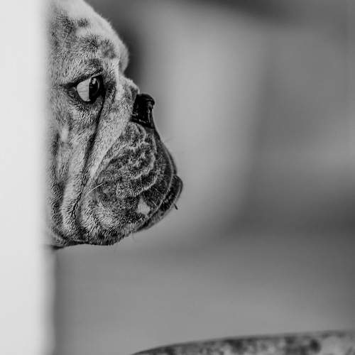 Photo #5597622