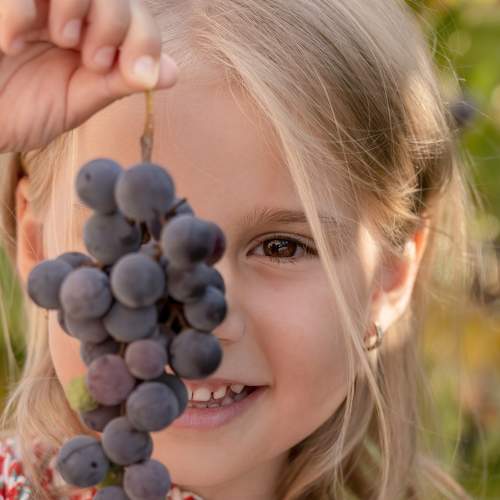 Photo #5597849