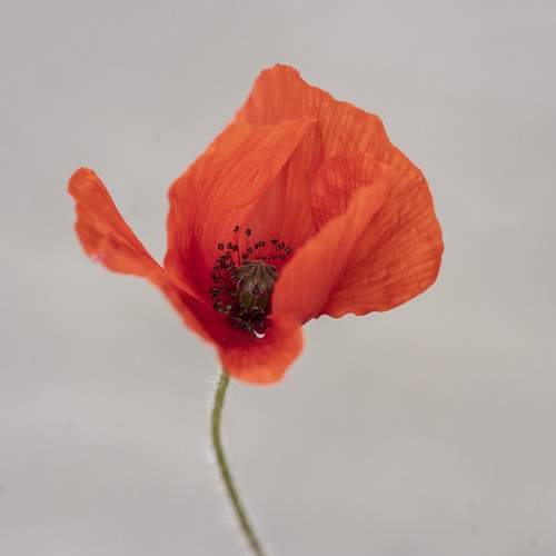 Photo #5597877