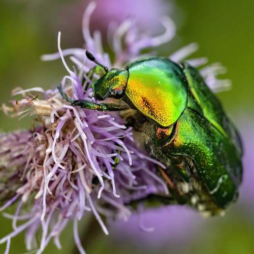 Photo #5597888