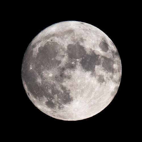 Photo #5597915