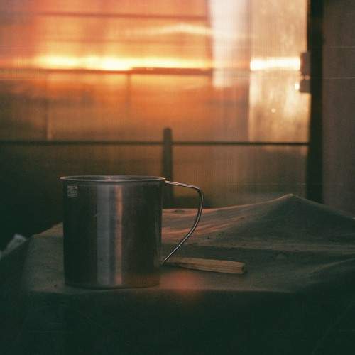 Photo #5598126