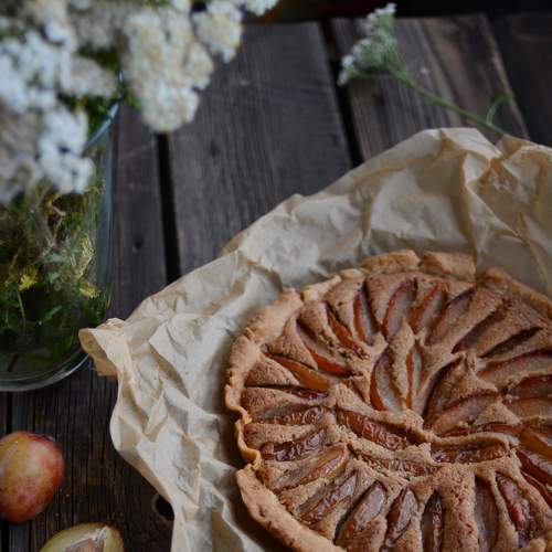 Photo #5598202