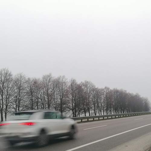 Photo #5598244