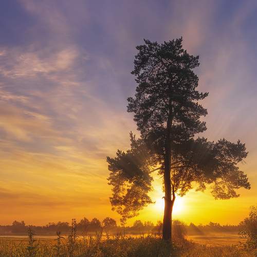 Photo #5598438