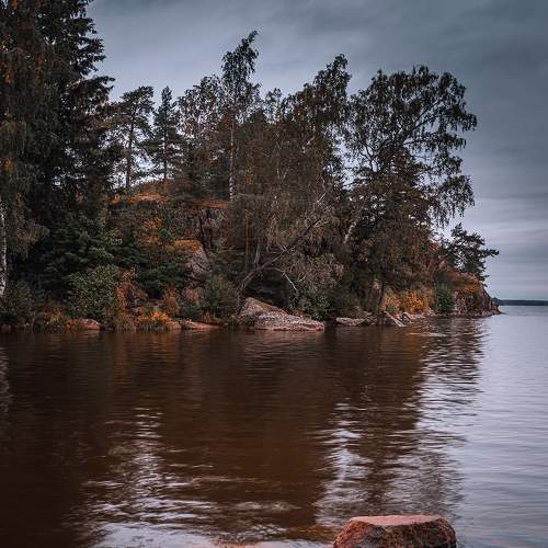 Photo #5598505