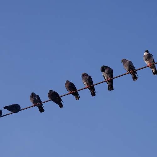 Photo #5598520