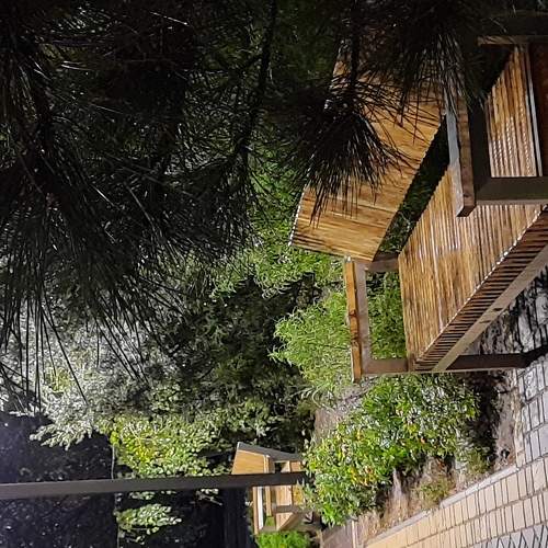 Photo #5598593