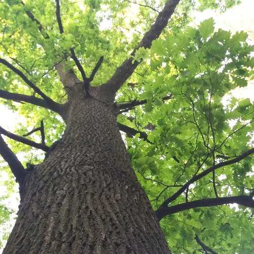 Photo #5598716