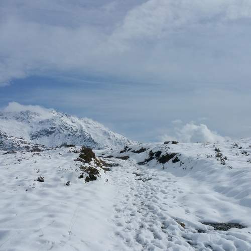 Photo #5598786