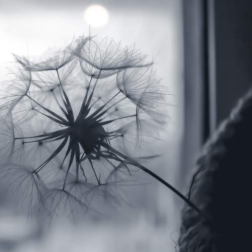 Photo #5599185