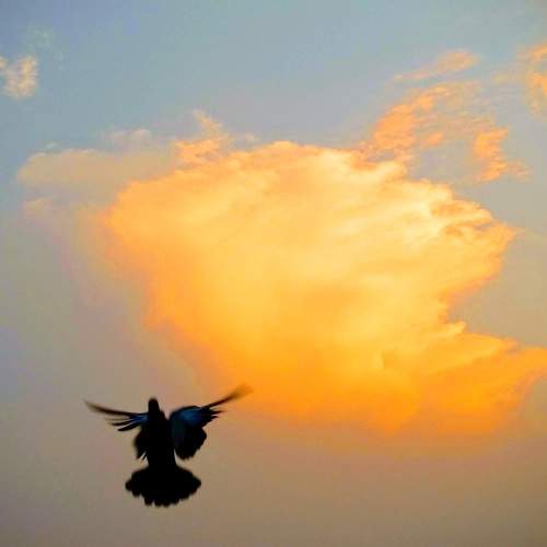 Photo #5599677