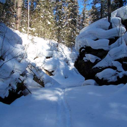 Photo #5600226