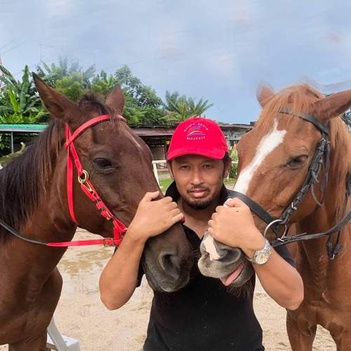 Horse Lover